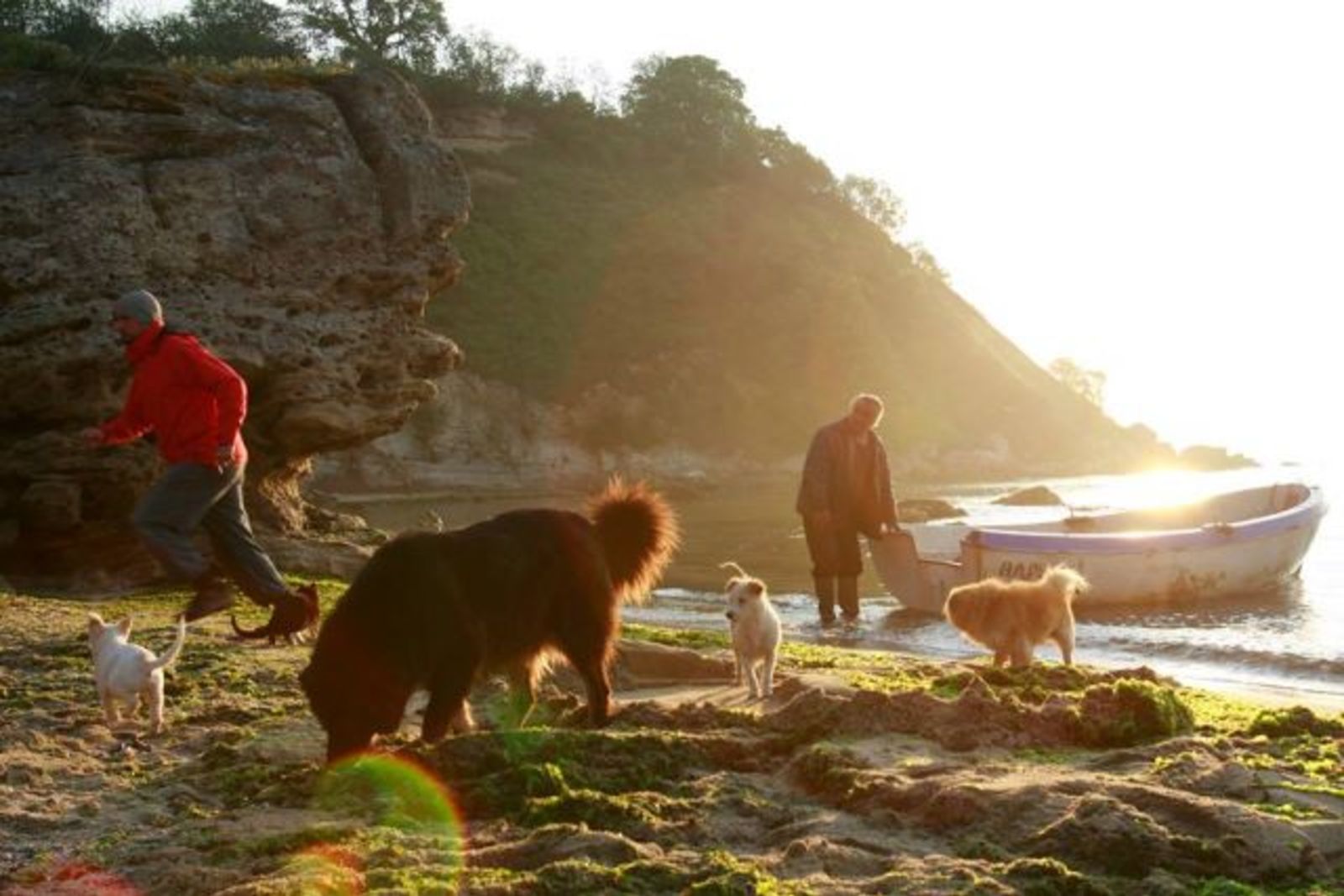 "Love & Engineering" and "The Last Black Sea Pirates" Presented Bulgarian Documentary at  the "DocPoint” Film Festival in Helzinki 