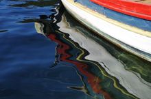 Откриване на фотографската изложба "Море от цветове" в Кайро