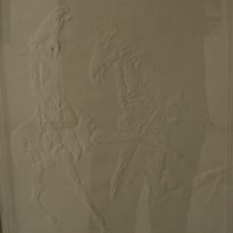 The horses